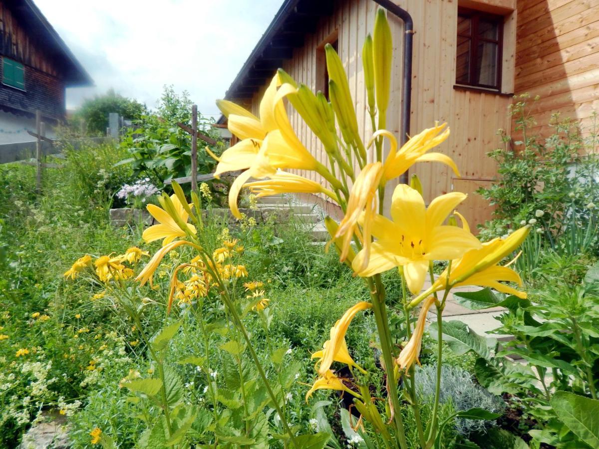 Berggasthof Sonne Allgaeu ซอนโทเฟิน ภายนอก รูปภาพ